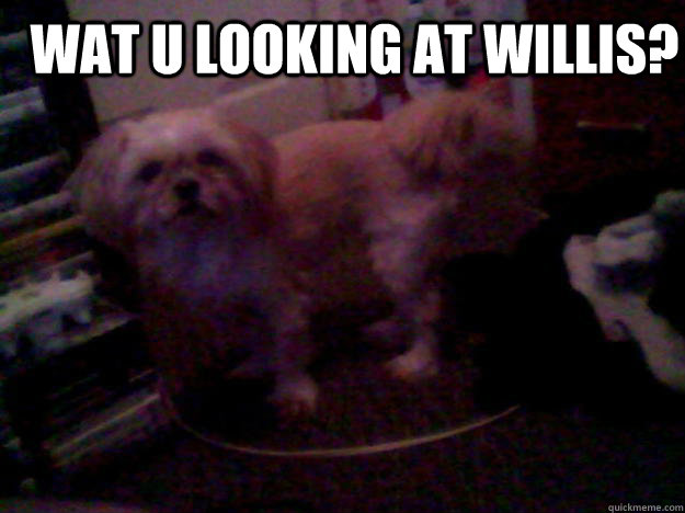 wat u looking at willis?   
