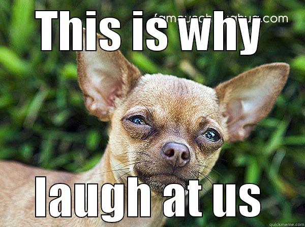 THIS IS WHY LAUGH AT US Misc