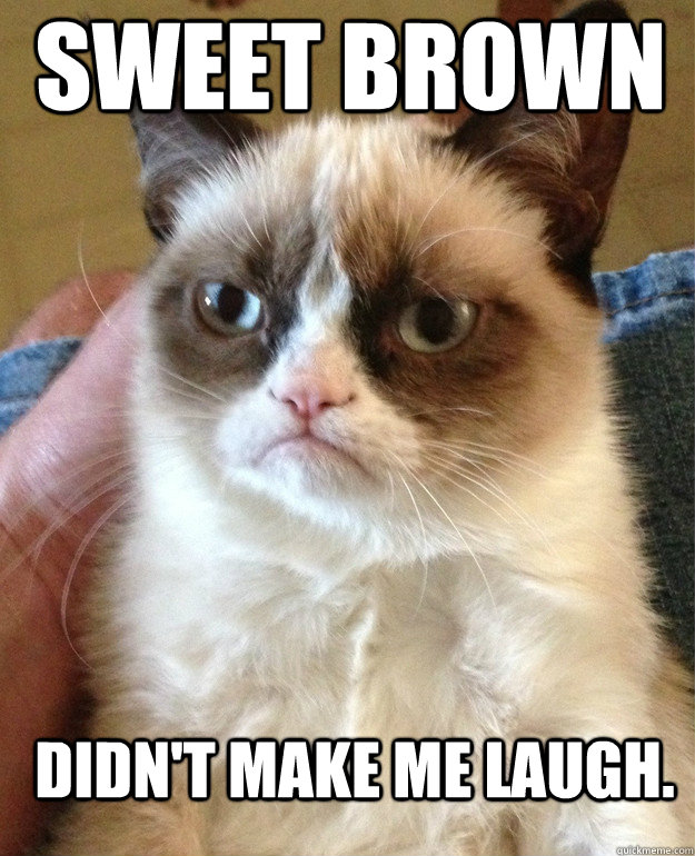 sweet brown didn't make me laugh. - sweet brown didn't make me laugh.  Grumpy Cat