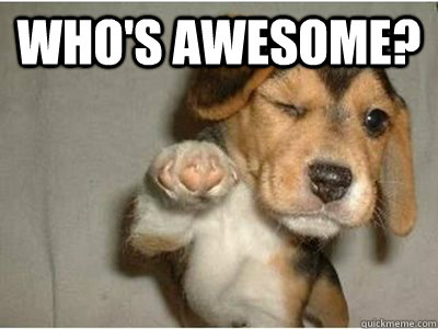 Who's awesome?  - Who's awesome?   Misc