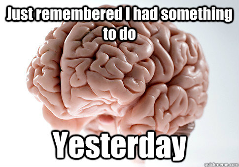 Just remembered I had something to do Yesterday  Scumbag Brain