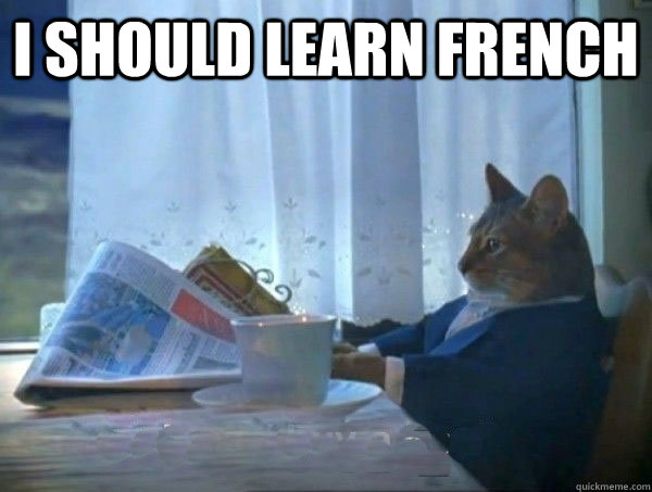 I should learn French   morning realization newspaper cat meme