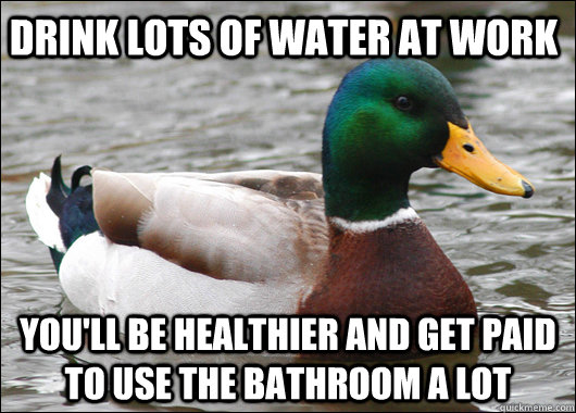 Drink lots of water at work You'll be healthier and get paid to use the bathroom a lot  Actual Advice Mallard