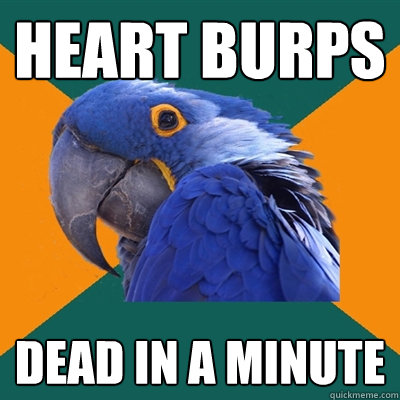 Heart burps DEAD in a minute  Paranoid Parrot