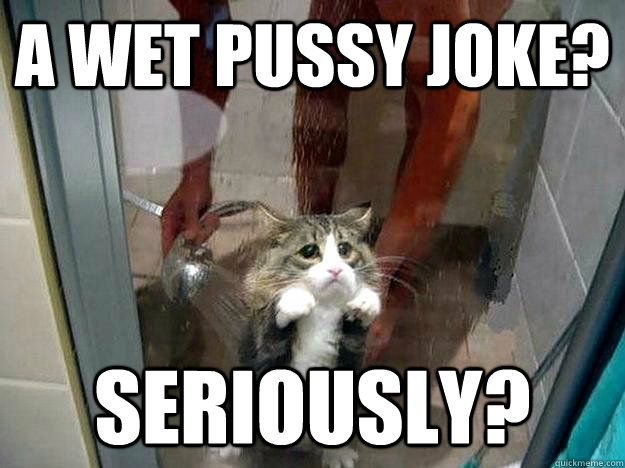 A WET PUSSY JOKE? SERIOUSLY?  Shower kitty