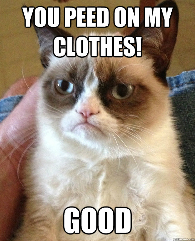 You peed on my clothes! good  grumpycat