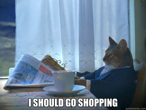  I should go shopping  The One Percent Cat