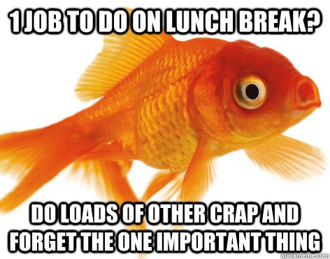 1 job to do on lunch break? DO loads of other crap and forget the one important thing  Forgetful Fish