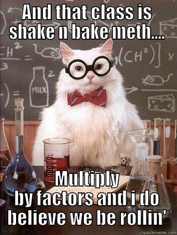 AND THAT CLASS IS SHAKE N BAKE METH.... MULTIPLY BY FACTORS AND I DO BELIEVE WE BE ROLLIN' Chemistry Cat