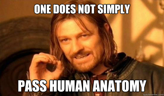 One Does Not Simply pass human anatomy  Boromir