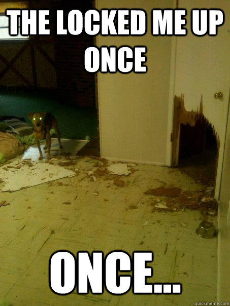 The locked me up once Once... - The locked me up once Once...  Insanity Dog