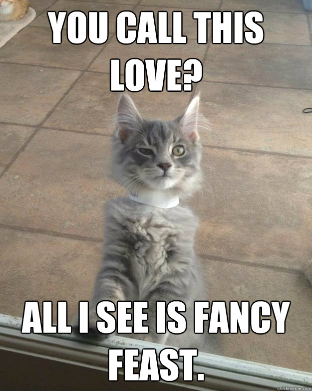 You call this love? All i see is fancy feast. - You call this love? All i see is fancy feast.  Skeptical Kitten