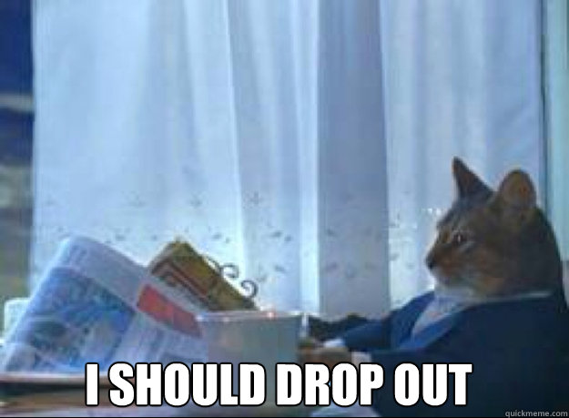 i should drop out   I should buy a boat cat