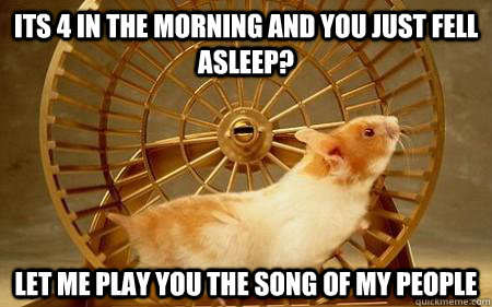 its 4 in the morning and you just fell asleep? let me play you the song of my people - its 4 in the morning and you just fell asleep? let me play you the song of my people  Hamster troll
