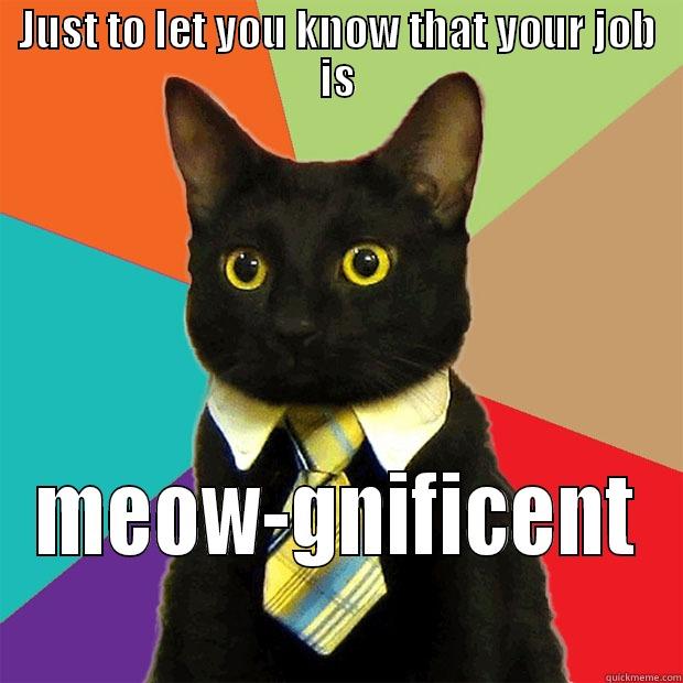 crazy cat women boss - JUST TO LET YOU KNOW THAT YOUR JOB IS MEOW-GNIFICENT Business Cat