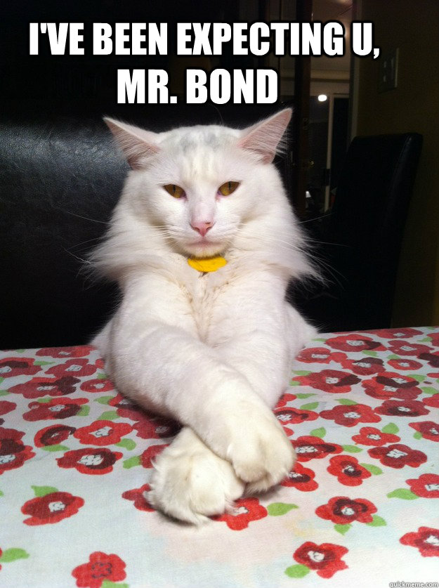 I'VE BEEN EXPECTING U,  MR. BOND  Evil Cat