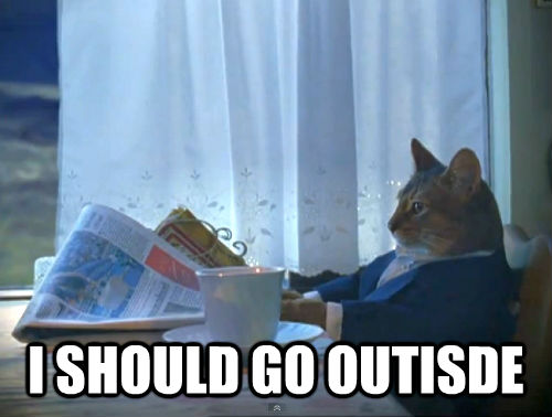 I SHOULD GO OUTISDE  The One Percent Cat