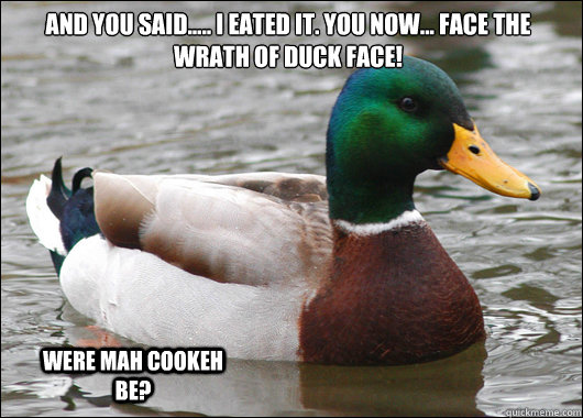 AND YOU SAID..... I EATED IT. YOU NOW... FACE THE WRATH OF DUCK FACE!  WERE MAH COOKEH BE?   Actual Advice Mallard