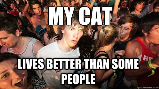 MY CAT lives better than some people  Sudden Clarity Clarence