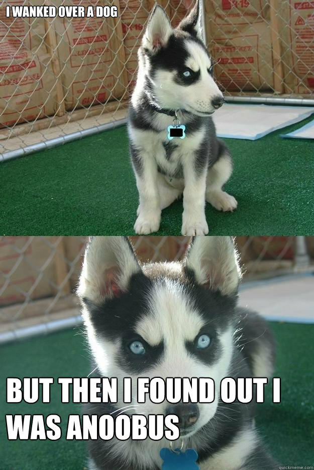 I WANKED OVER A DOG BUT THEN I FOUND OUT I WAS ANOOBUS  Insanity puppy