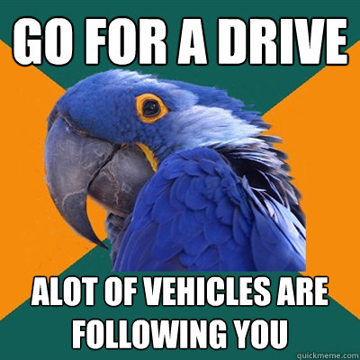 go for a drive alot of vehicles are following you  Paranoid Parrot