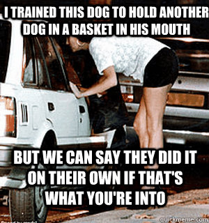 I trained this dog to hold another dog in a basket in his mouth But we can say they did it on their own if that's what you're into  Karma Whore