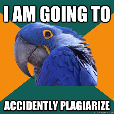 I am going to accidently plagiarize  Paranoid Parrot