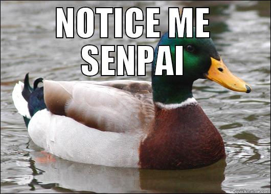 NOTICE ME SENPAI  Actual Advice Mallard