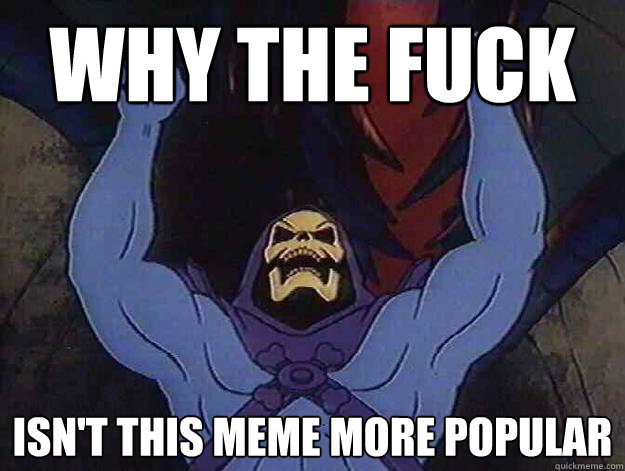 Why the fuck Isn't this meme more popular - Why the fuck Isn't this meme more popular  Angry Skeletor