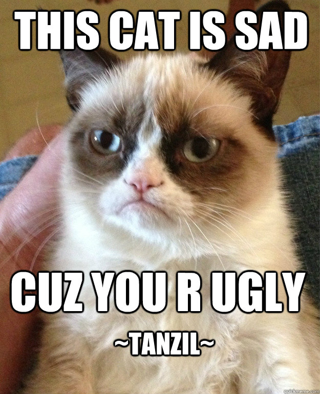 THIS CAT IS SAD CUZ YOU R UGLY ~Tanzil~  Grumpy Cat