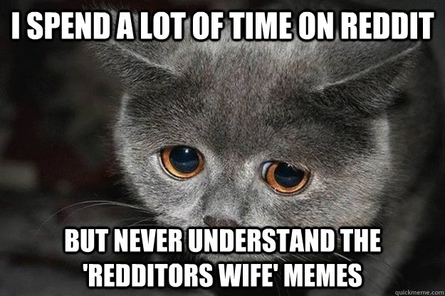 I spend a lot of time on reddit but never understand the 'redditors wife' memes - I spend a lot of time on reddit but never understand the 'redditors wife' memes  Sad Reddit Cat