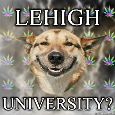 Lehigh University?  Stoner Dog