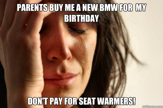 Parents buy me a new BMW for  my birthday don't pay for seat warmers!   First World Problems