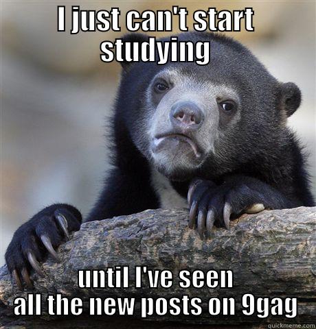 I JUST CAN'T START STUDYING UNTIL I'VE SEEN ALL THE NEW POSTS ON 9GAG Confession Bear