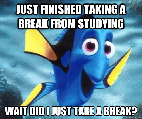 Just finished taking a break from studying Wait did i just take a break?  optimistic dory