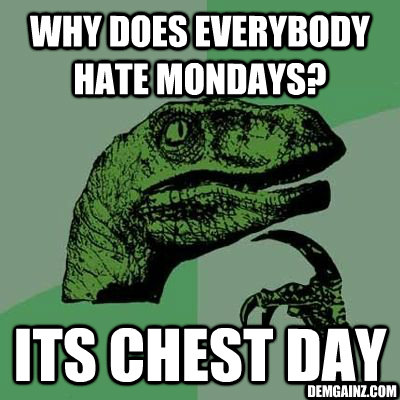 Why Does everybody hate mondays?  its chest day Demgainz.com  