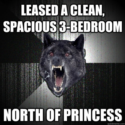 leased a clean, spacious 3-bedroom north of princess  Insanity Wolf