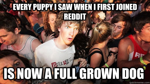 Every puppy i saw when i first joined reddit is now a full grown dog  Sudden Clarity Clarence