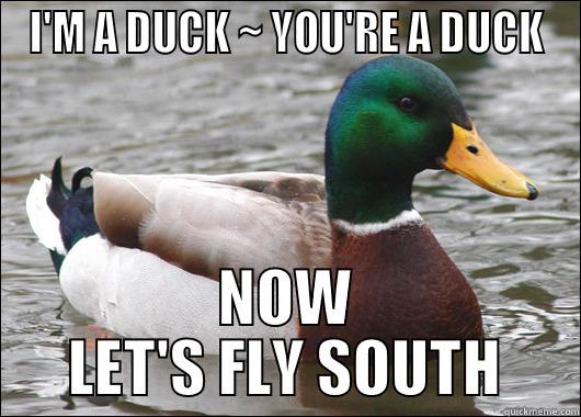 I'M A DUCK ~ YOU'RE A DUCK NOW LET'S FLY SOUTH Actual Advice Mallard