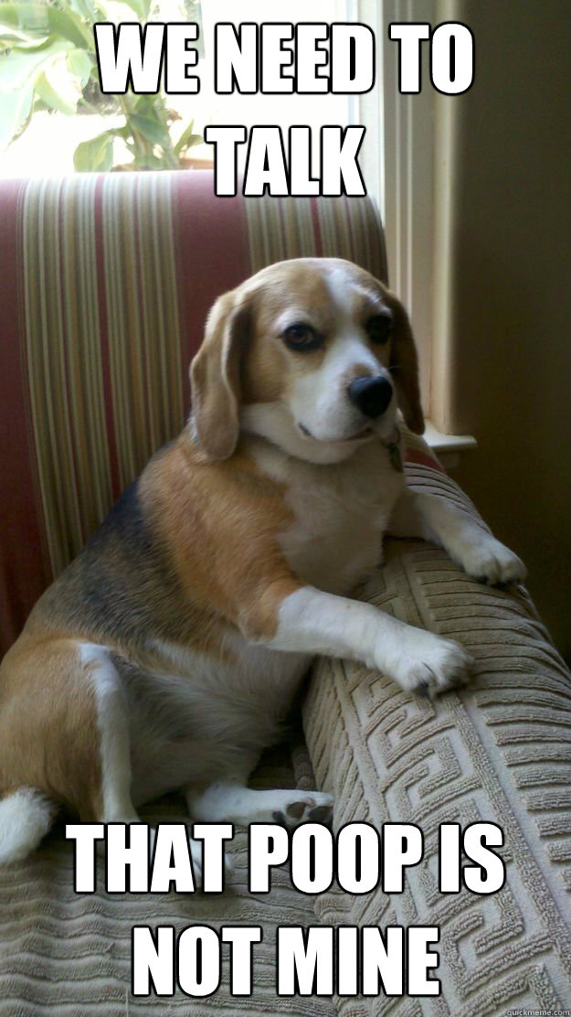 We need to talk that poop is not mine - We need to talk that poop is not mine  Poop What poop