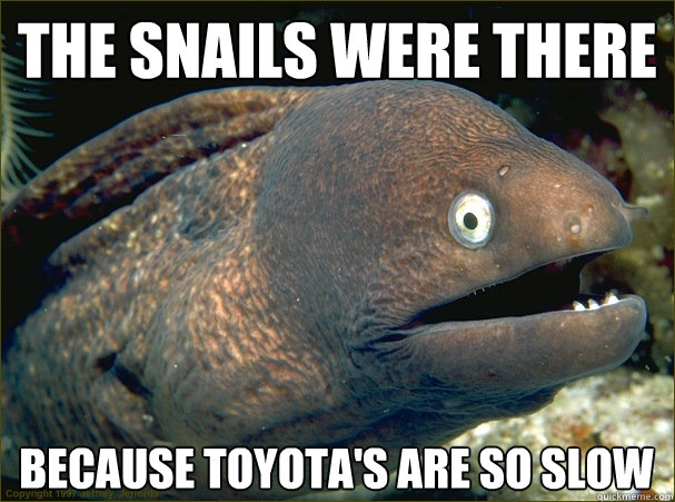 the snails were there BECAUSE TOYOTA'S ARE SO SLOW - the snails were there BECAUSE TOYOTA'S ARE SO SLOW  Bad Joke Eel