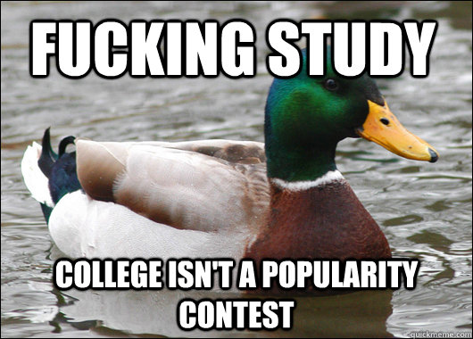 Fucking study college isn't a popularity contest - Fucking study college isn't a popularity contest  Actual Advice Mallard