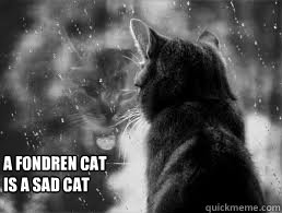  A Fondren Cat Is a Sad Cat  Sad cat