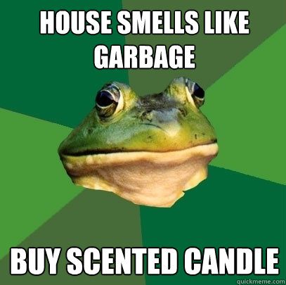 House smells like garbage Buy scented candle  Foul Bachelor Frog