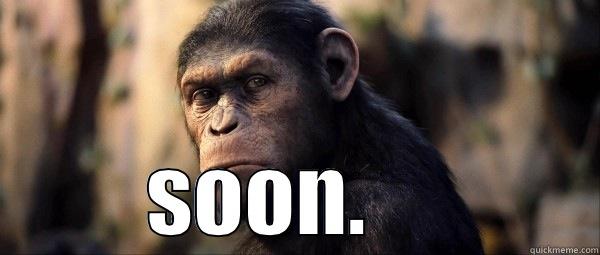 apeocalypse is coming -  SOON.     Misc