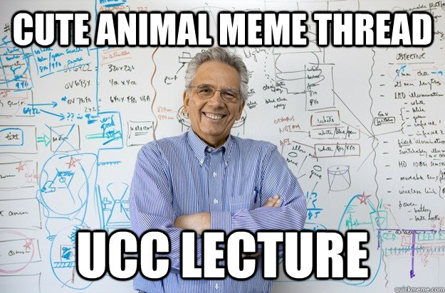 cute animal meme thread ucc lecture  Engineering Professor