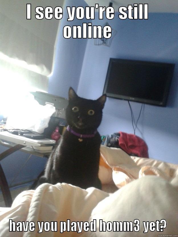 I SEE YOU'RE STILL ONLINE HAVE YOU PLAYED HOMM3 YET? overly attached cat