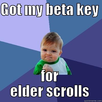 GOT MY BETA KEY  FOR ELDER SCROLLS Success Kid