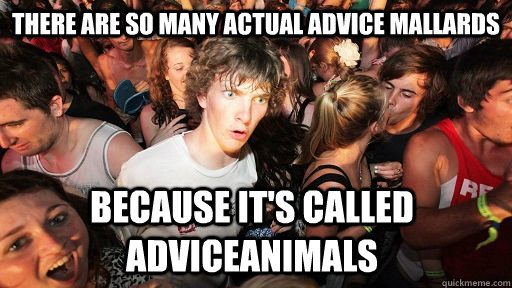 There are so many actual advice mallards because it's Called AdviceAnimals  Sudden Clarity Clarence