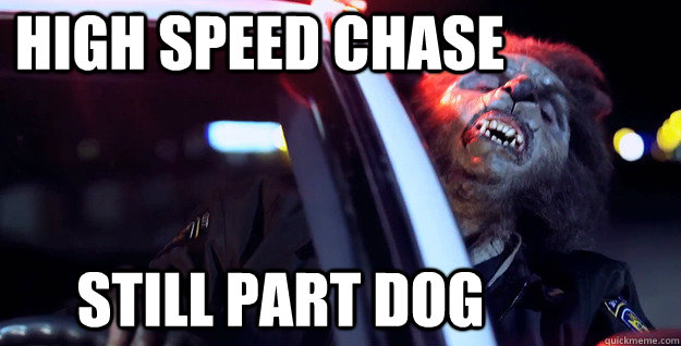 High speed chase Still part dog - High speed chase Still part dog  WOLF COP